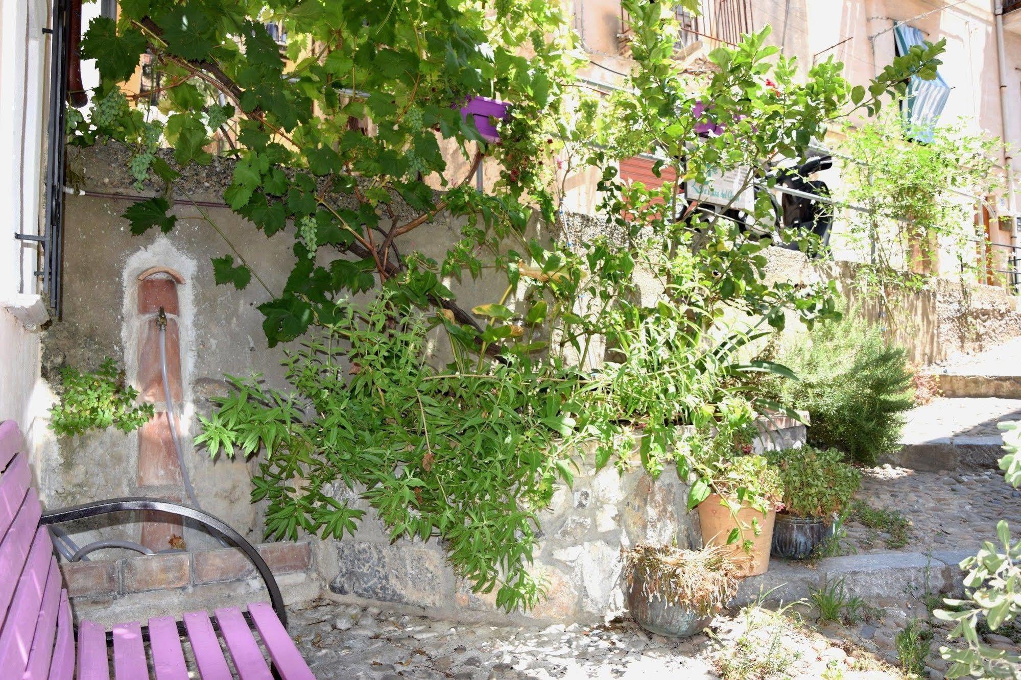 La Casa Del Geko Bed and Breakfast Cefalù Exteriör bild